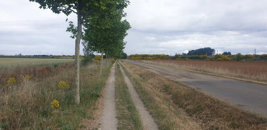 KakaoTalk_20220603_223121247_02.jpg?type=w1