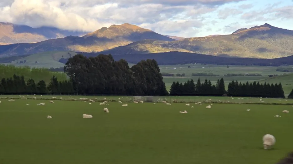 KakaoTalk_20251102_124847318_02.jpg?type=w1