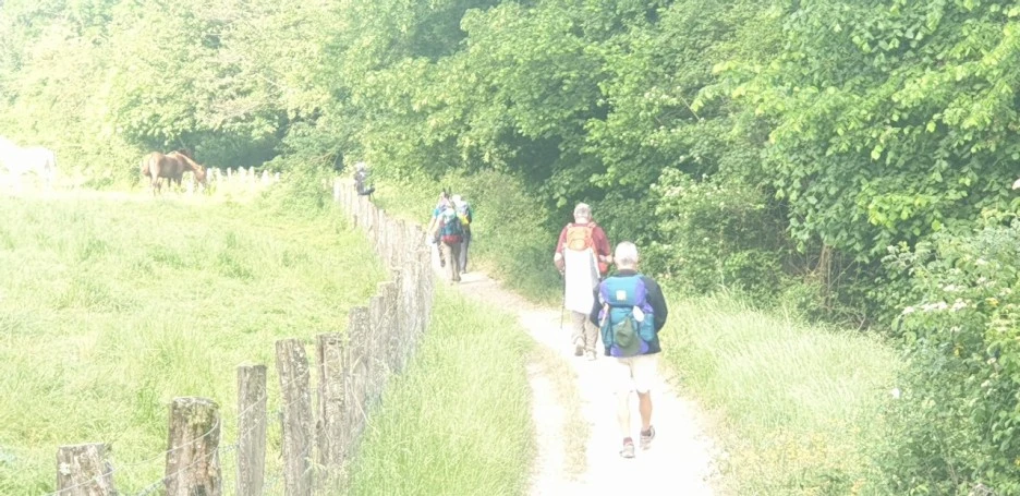 KakaoTalk_20220521_225559307.jpg?type=w1