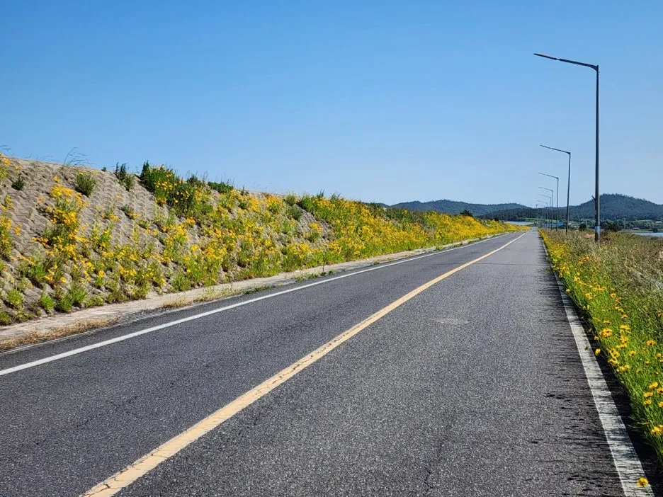 KakaoTalk_20240517_001534096_13.jpg?type=w1