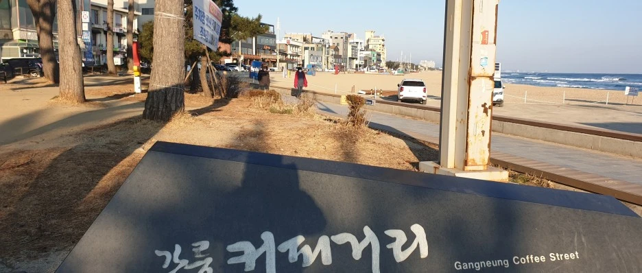 SE-9f9654d9-a990-4ffc-b16b-738c9e52590f.jpg?type=w1