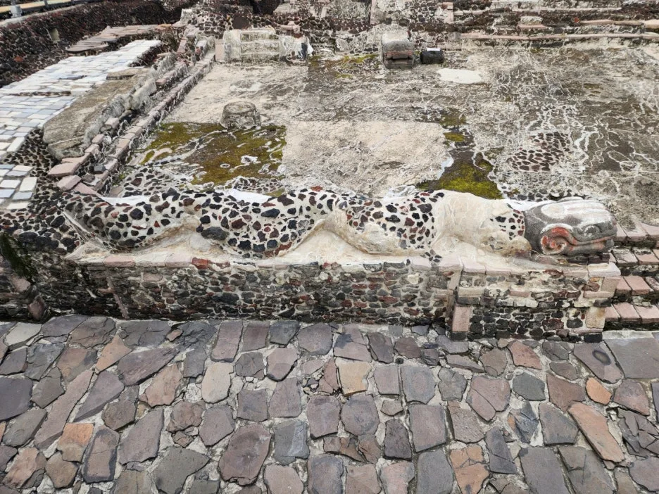 KakaoTalk_20240827_033622809_08.jpg?type=w1