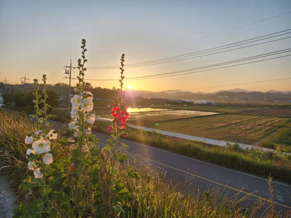 KakaoTalk_20240529_170254177_02.jpg?type=w1