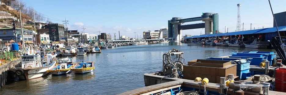 SE-e8d857cf-ef96-4b32-a90b-31a12e41f9cc.jpg?type=w1