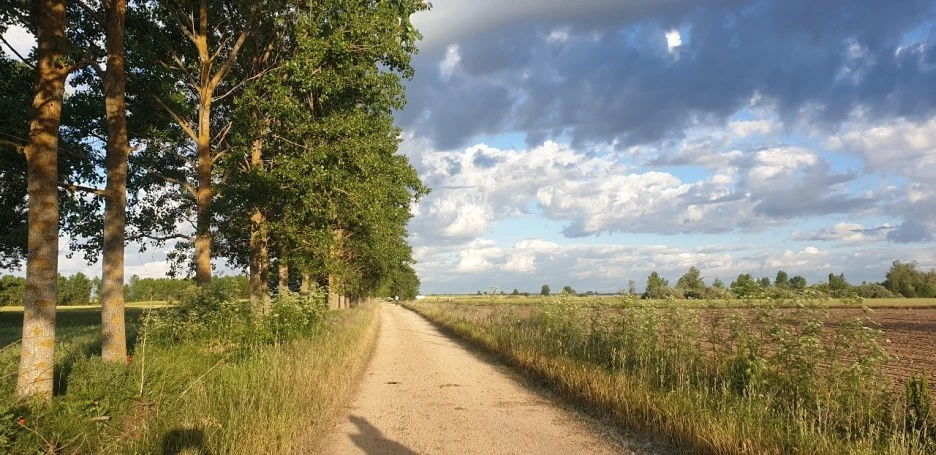 KakaoTalk_20220603_002339802_03.jpg?type=w1