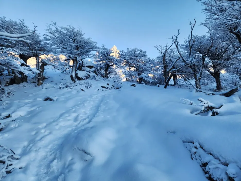 KakaoTalk_20240809_044224426_22.jpg?type=w1