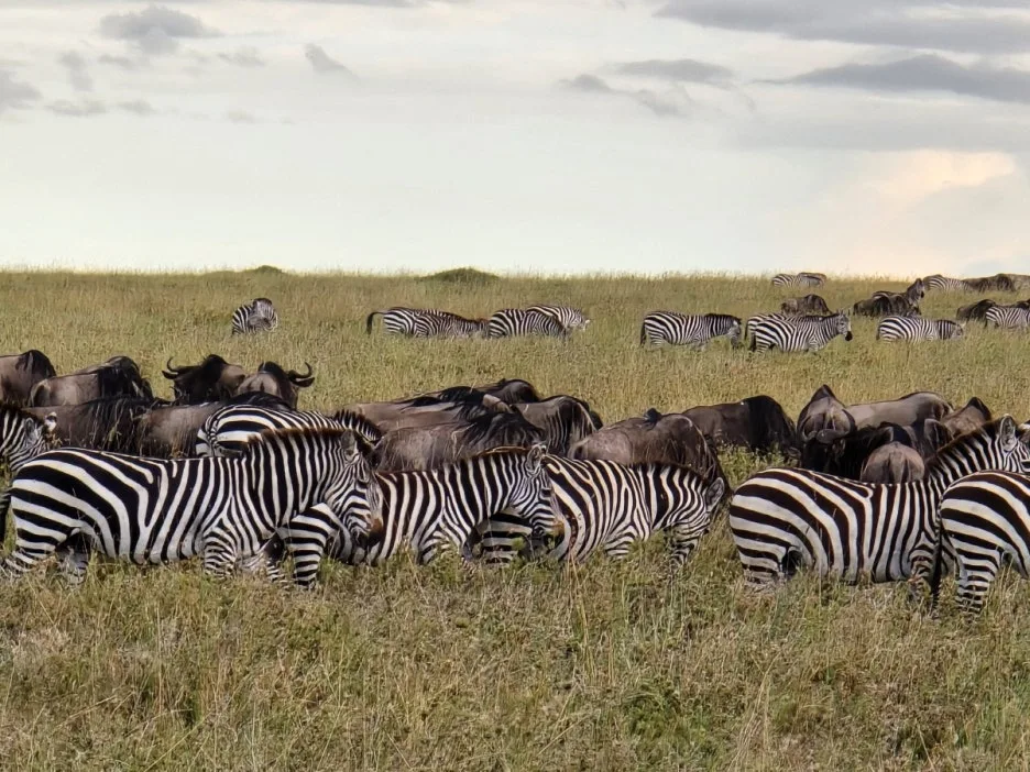 KakaoTalk_20250405_134443007_24.jpg?type=w1