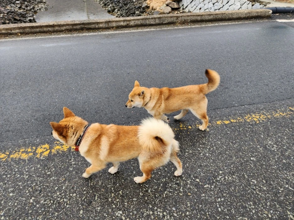 KakaoTalk_20230214_053104350_08.jpg?type=w1