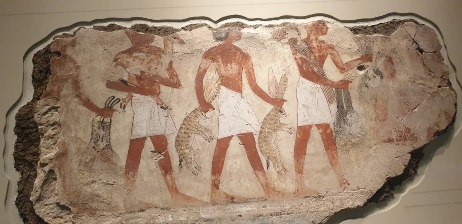 KakaoTalk_20220709_210652429_02.jpg?type=w1