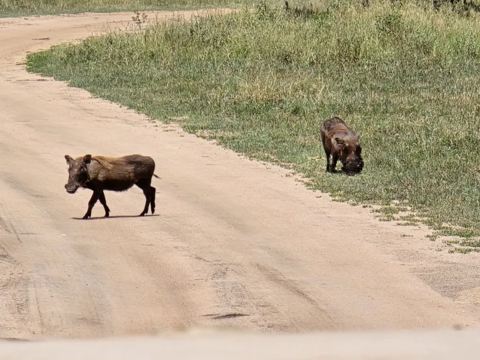 KakaoTalk_20250405_112215504_21.jpg?type=w1