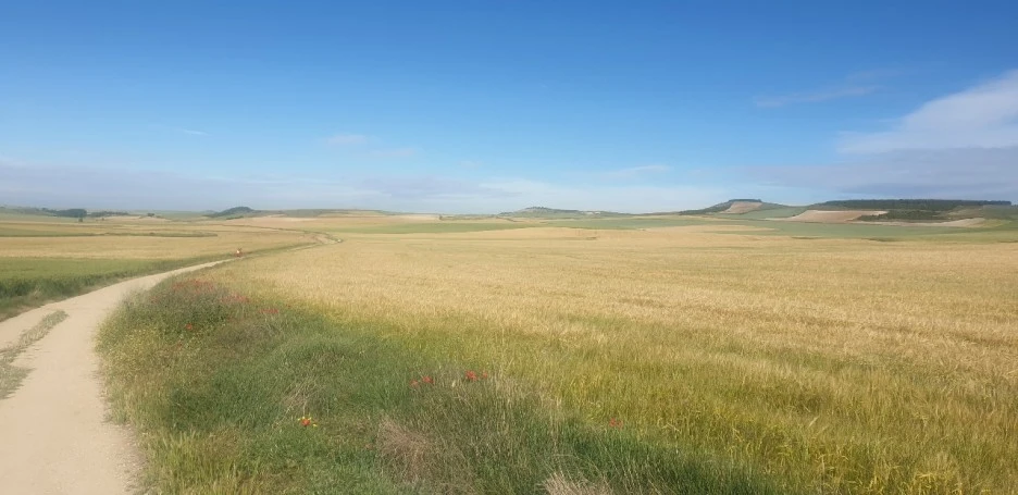 KakaoTalk_20220601_001743765_08.jpg?type=w1