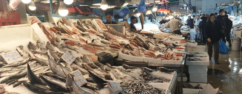 SE-6dc8b0aa-4fa1-494c-927b-80fed811a1e1.jpg?type=w1