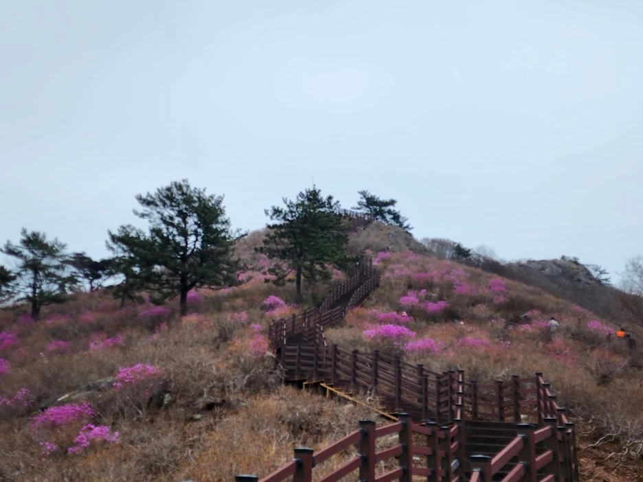 KakaoTalk_20230322_020016994_06.jpg?type=w1