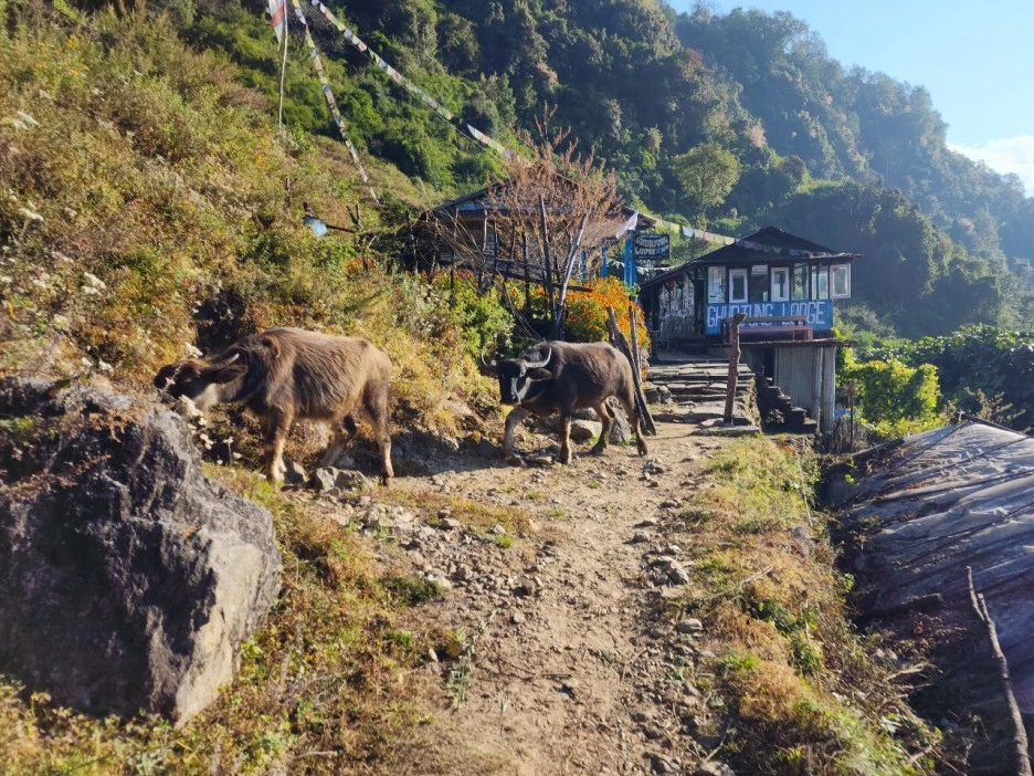 KakaoTalk_20221117_072939349_04.jpg?type=w1