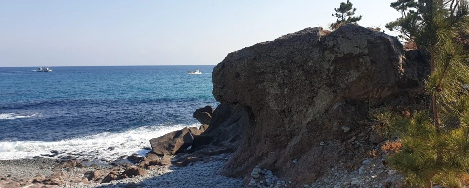 SE-e79737b3-b56d-419d-9406-328db9d65cbd.jpg?type=w1