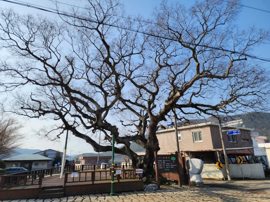 KakaoTalk_20230215_043158214_09.jpg?type=w1