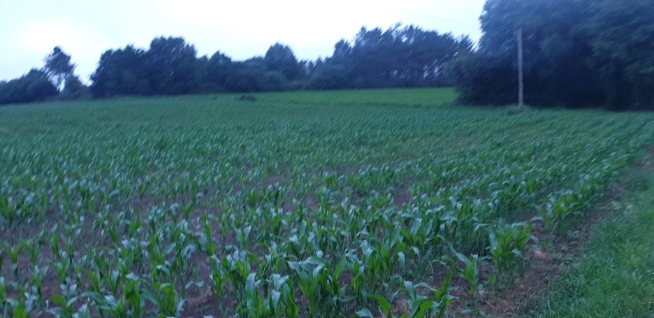 KakaoTalk_20220612_223221237.jpg?type=w1