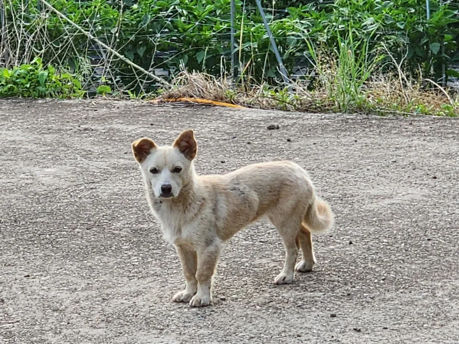 KakaoTalk_20240623_045454376_04.jpg?type=w1