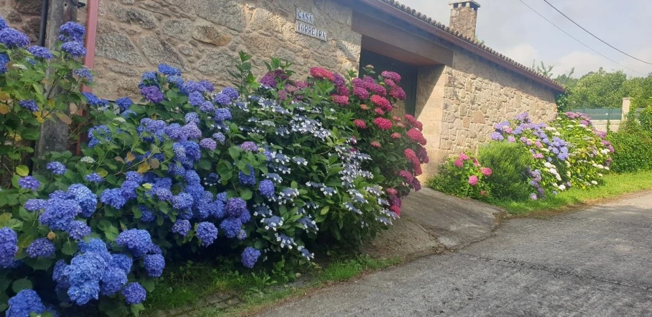 KakaoTalk_20220618_000850286.jpg?type=w1