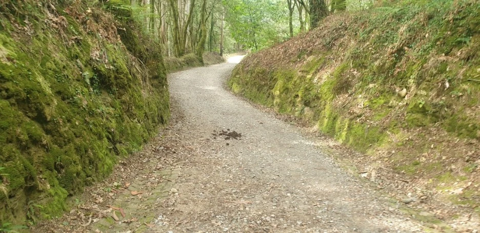 KakaoTalk_20220618_000850286_04.jpg?type=w1