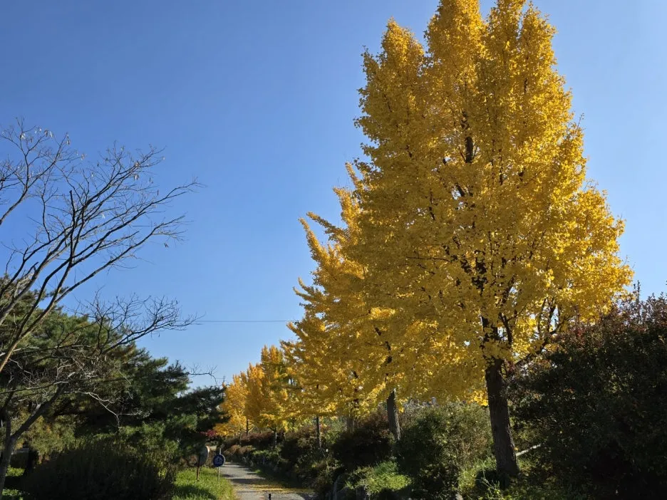 KakaoTalk_20241117_054454078_03.jpg?type=w1