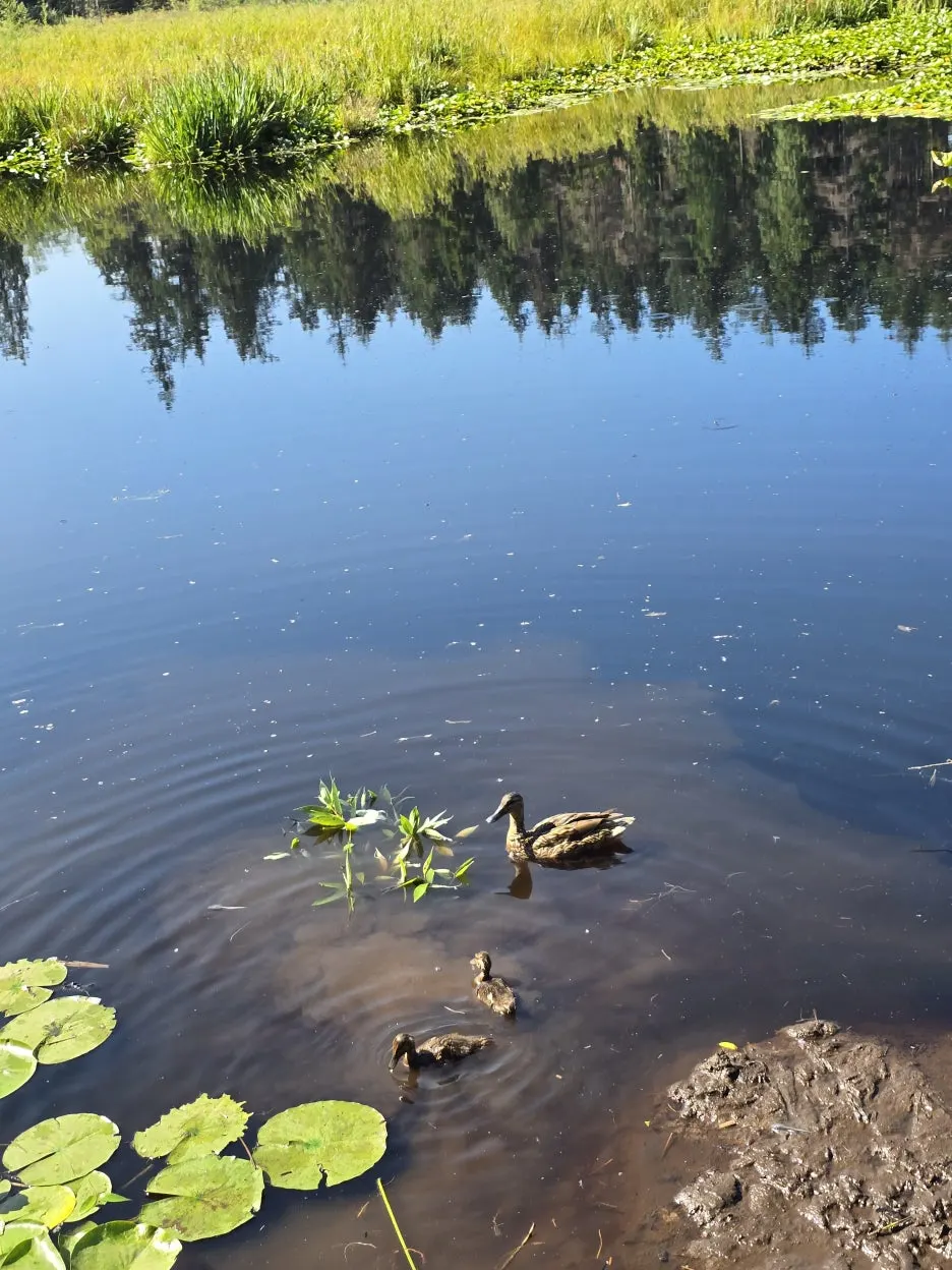 KakaoTalk_20250724_030728455_23.jpg?type=w1