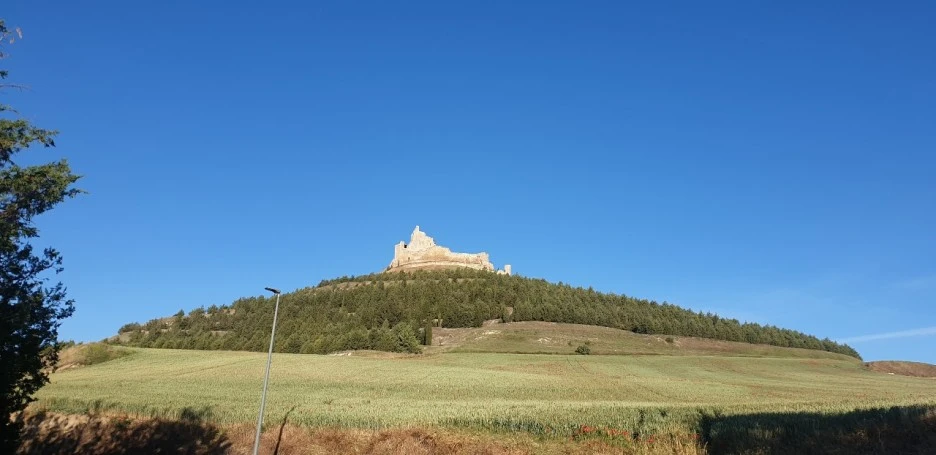 KakaoTalk_20220601_001743765_01.jpg?type=w1