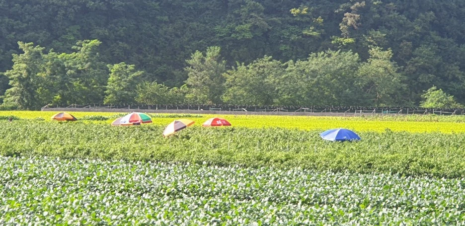 20210828_085648.jpg?type=w1