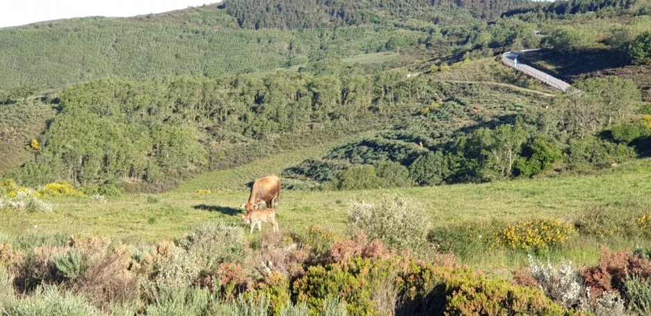 KakaoTalk_20220608_014443366_05.jpg?type=w1