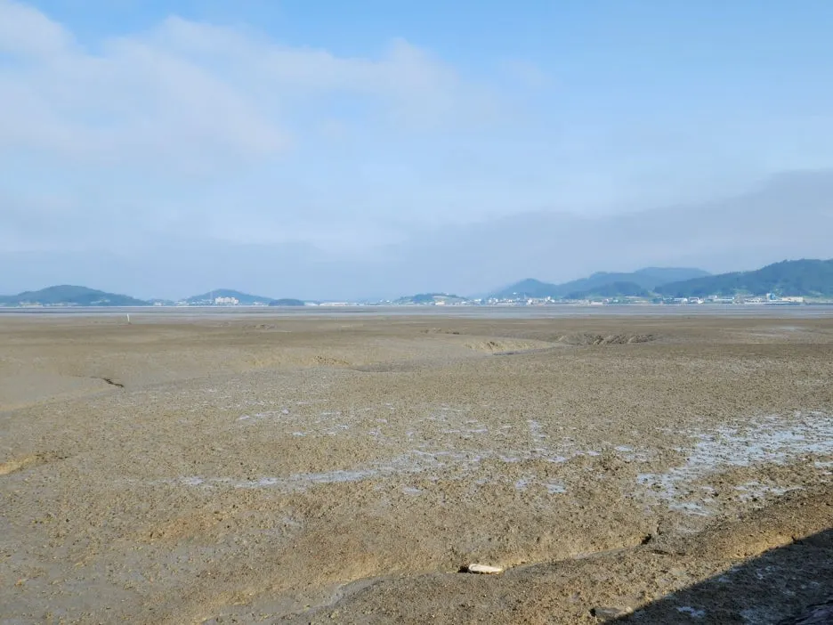 KakaoTalk_20240524_153803234_13.jpg?type=w1