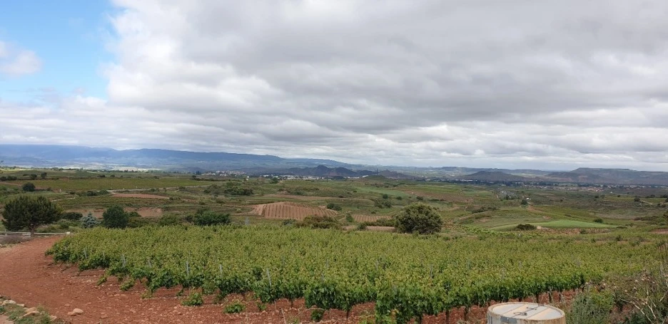 KakaoTalk_20220527_030923495_04.jpg?type=w1