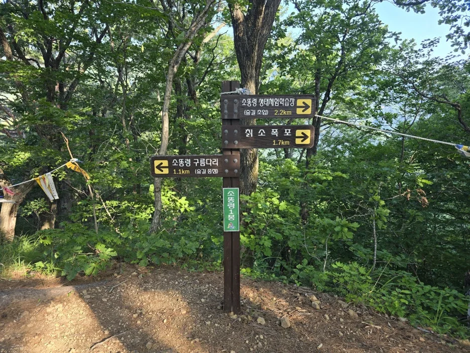 KakaoTalk_20250623_164743987_16.jpg?type=w1