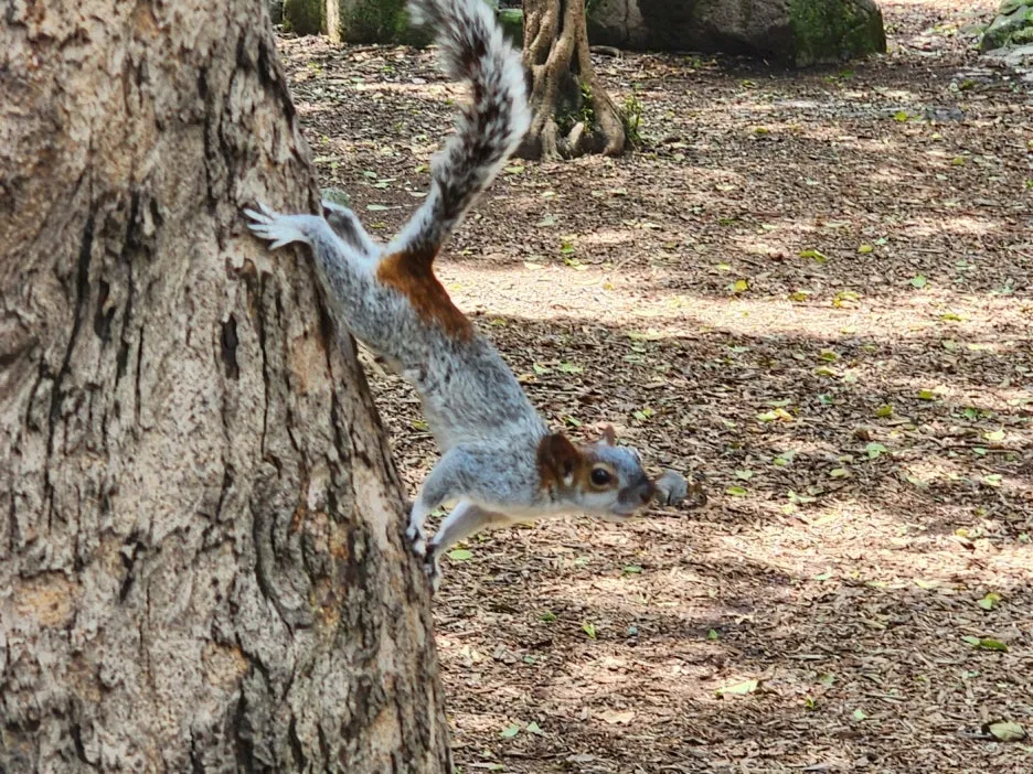 KakaoTalk_20240827_034150758_06.jpg?type=w1