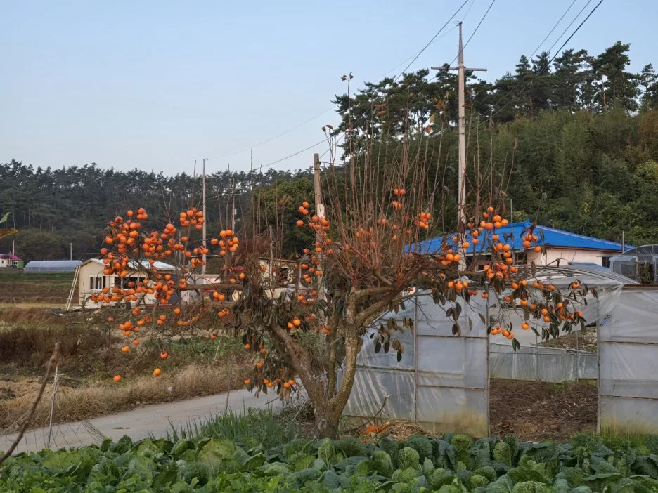 KakaoTalk_20241112_044854649_06.jpg?type=w1