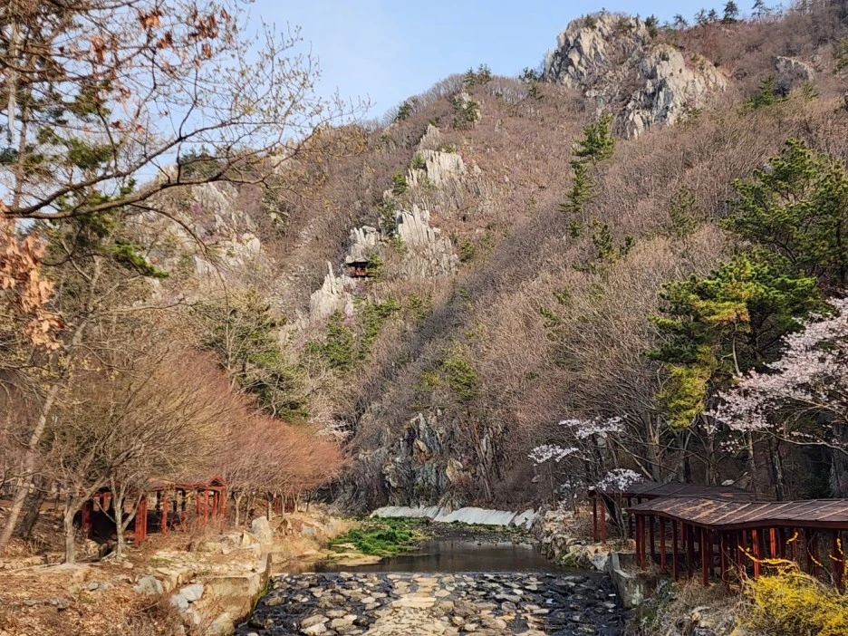 KakaoTalk_20230330_030454161_09.jpg?type=w1