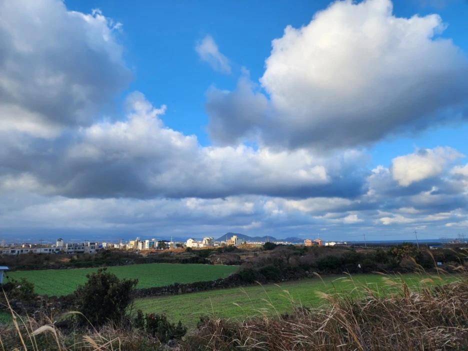 KakaoTalk_20221229_211904057_04.jpg?type=w1