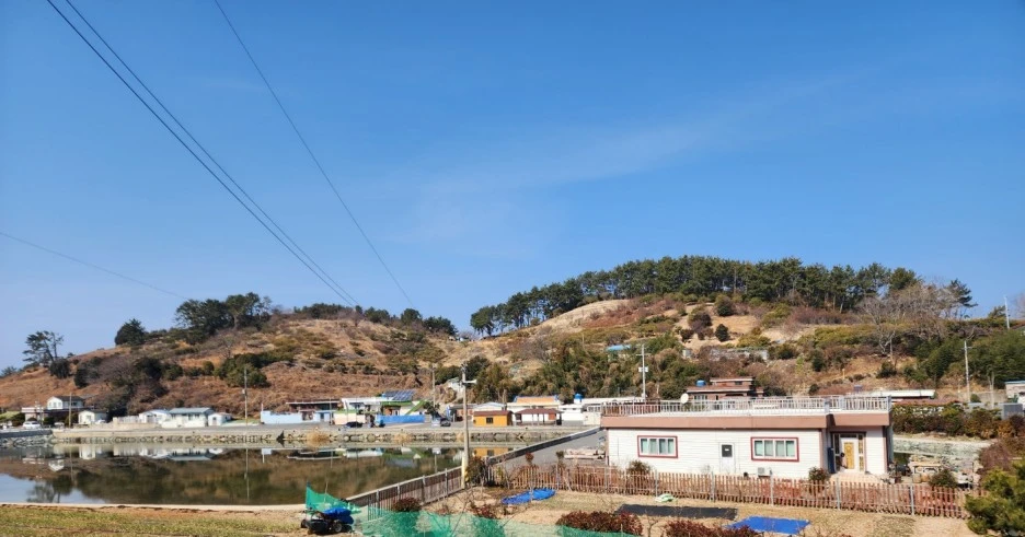 SE-58d80258-f4db-4652-ac33-9c38c1640e7d.jpg?type=w1