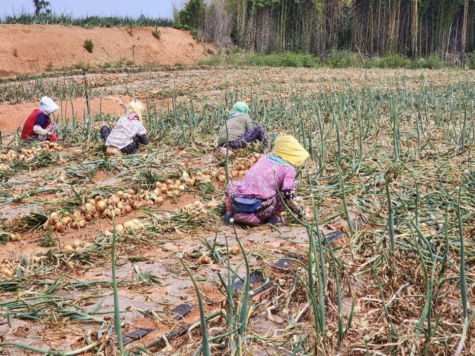 KakaoTalk_20240522_154457657_25.jpg?type=w1