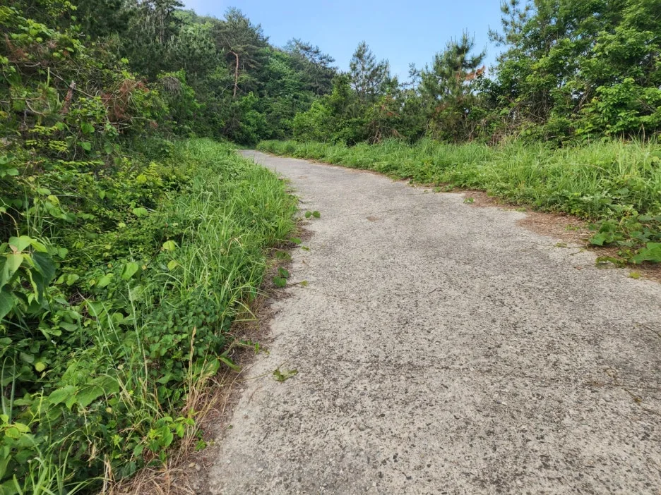 KakaoTalk_20240524_153803234_10.jpg?type=w1