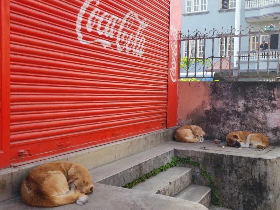 KakaoTalk_20221123_122408806_01.jpg?type=w1