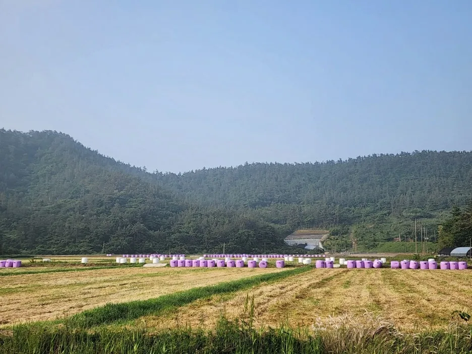 KakaoTalk_20240525_165017986_03.jpg?type=w1