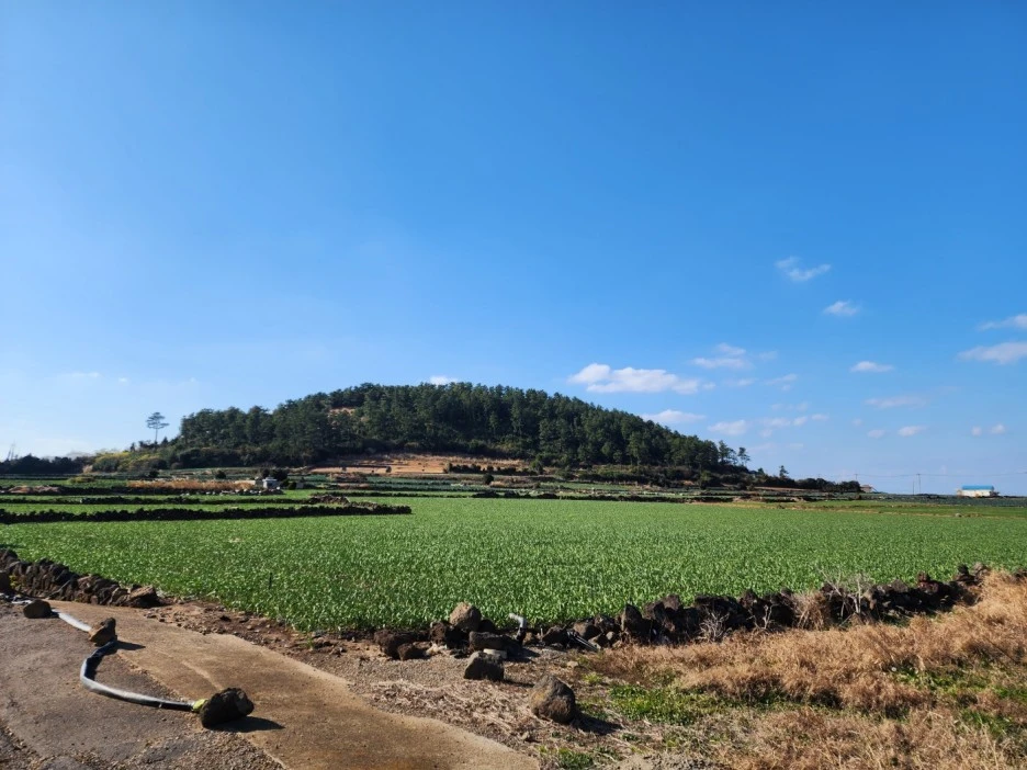 KakaoTalk_20221227_053823125_03.jpg?type=w1