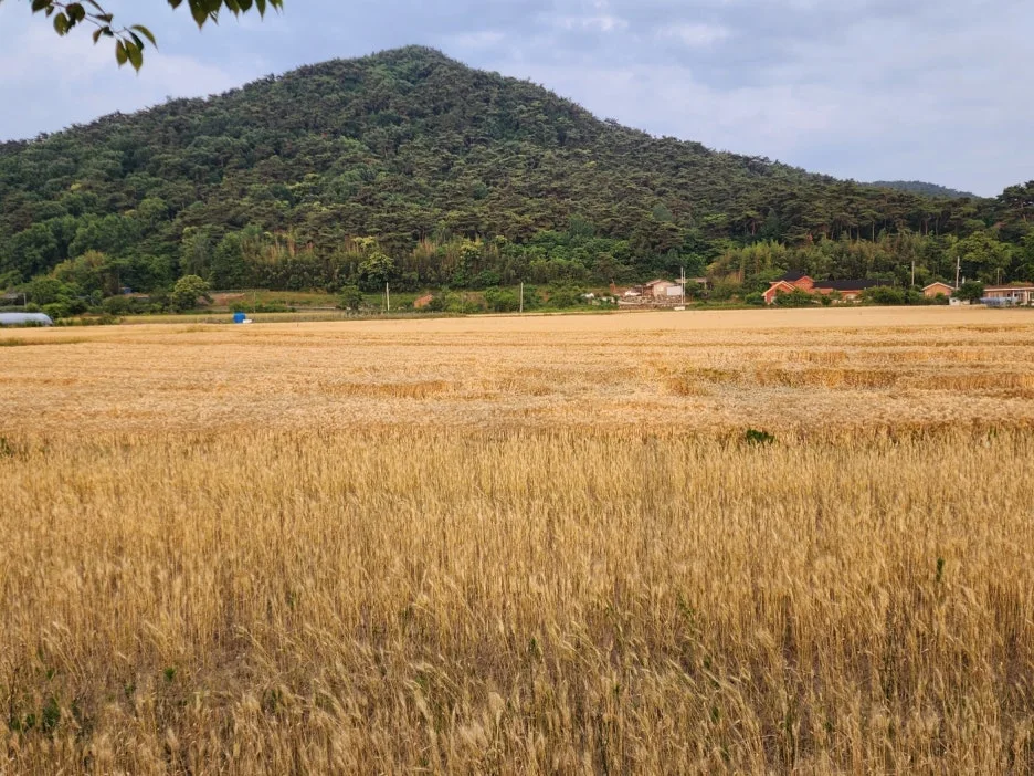 KakaoTalk_20240607_201223809_04.jpg?type=w1