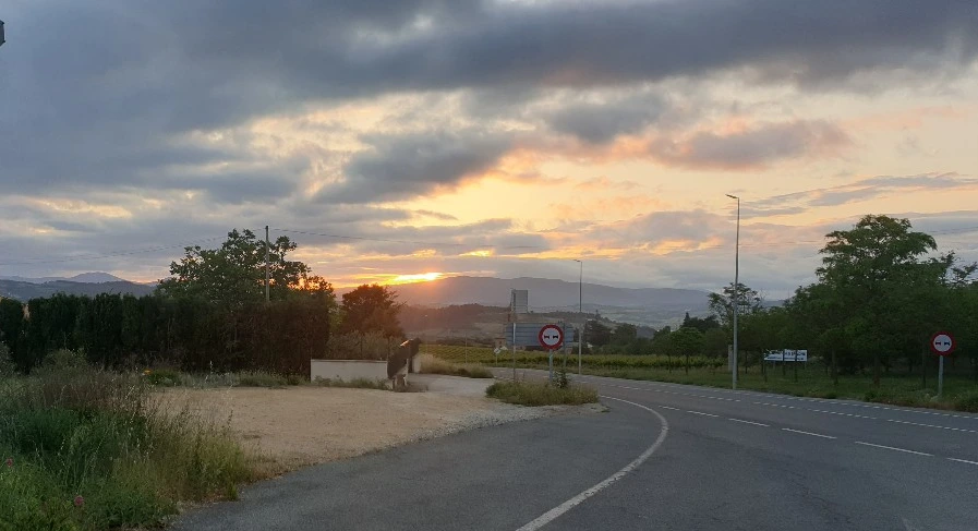 SE-655cc0b3-3f1d-4daa-8016-71744c3eb19f.jpg?type=w1