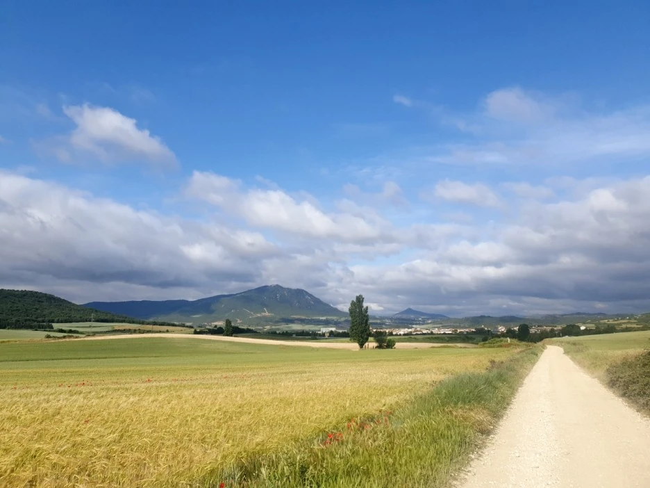 KakaoTalk_20220524_081508221_08.jpg?type=w1