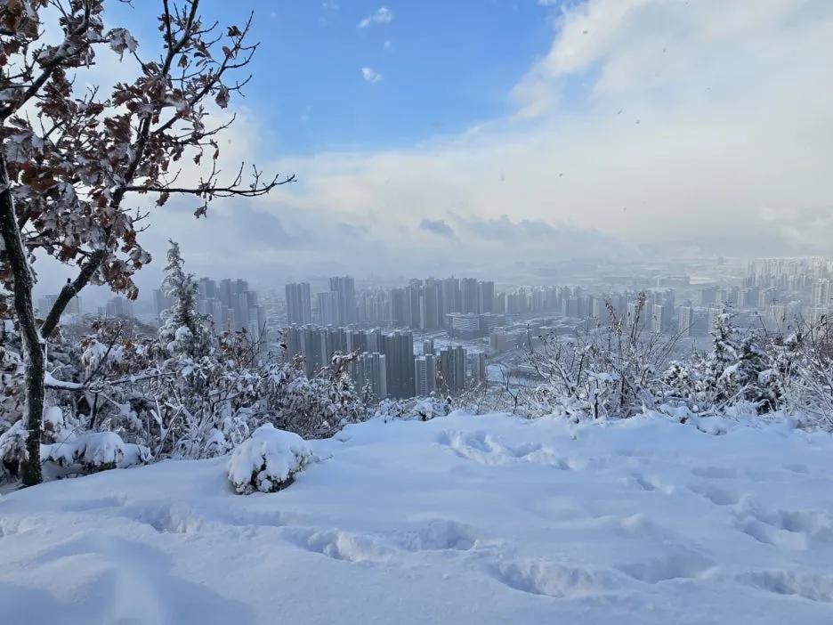 KakaoTalk_20241129_050938052_10.jpg?type=w1