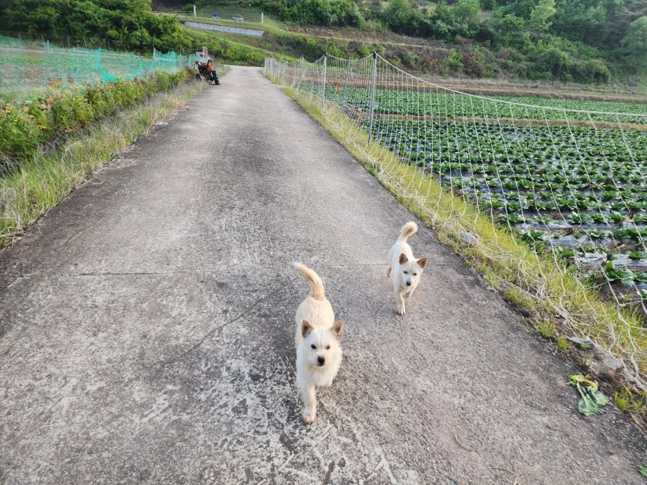 KakaoTalk_20240508_050813044_01.jpg?type=w1