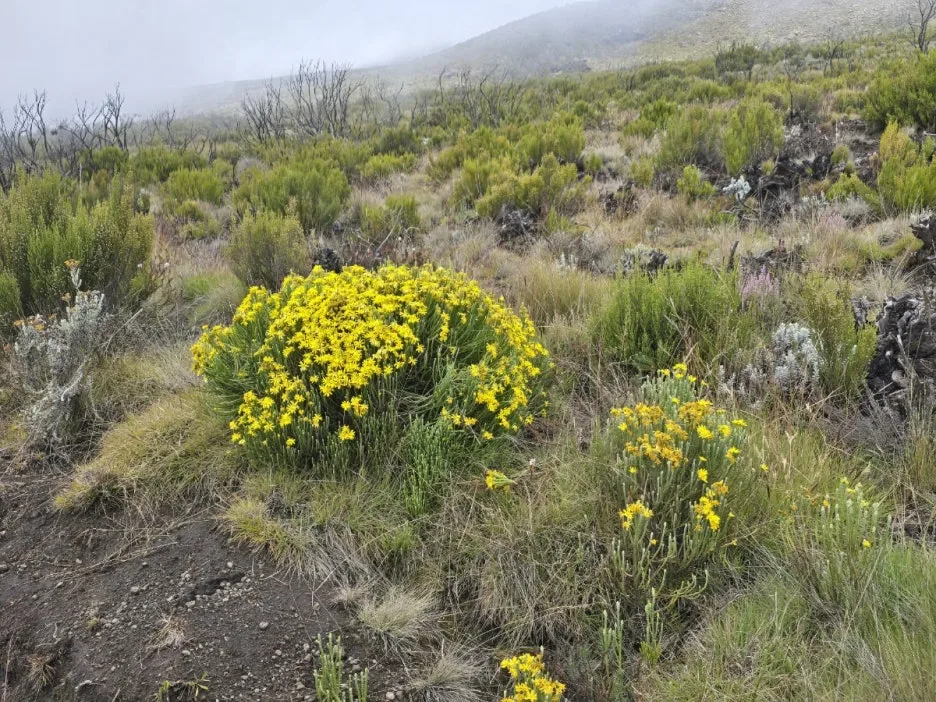 KakaoTalk_20250405_061148519_19.jpg?type=w1