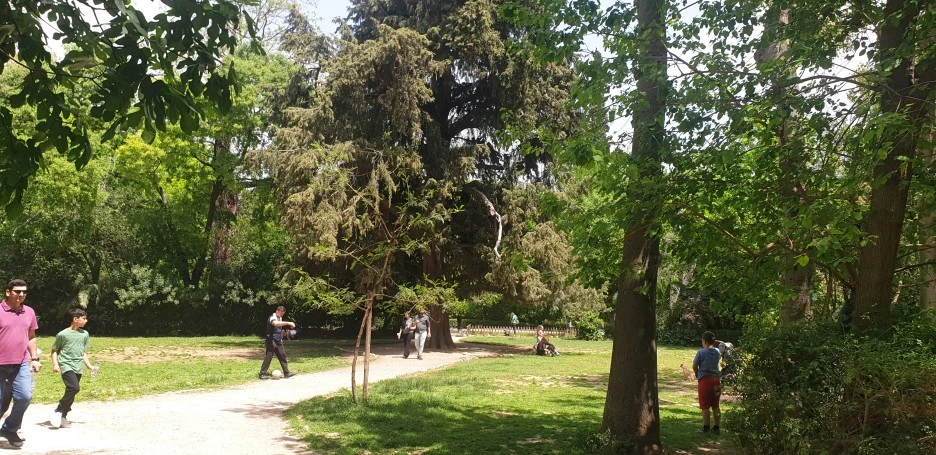 20220501_132553.jpg?type=w1