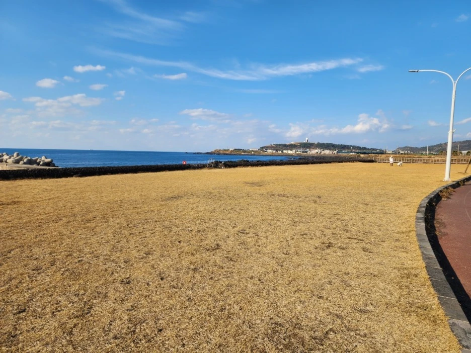 KakaoTalk_20221227_053823125_11.jpg?type=w1